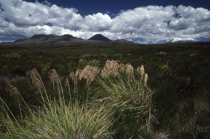 RWT 0032 022-29 New Zealand Tongariro NP.jpg